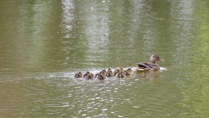 Fine weather predicted for Monday in Moldova  