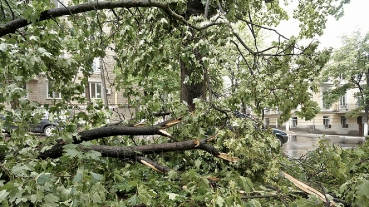 Heavy rain, wind DESTROY houses, cars in Chisinau