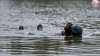 7 people drowned in Moldova last Sunday. Most of them were drunk