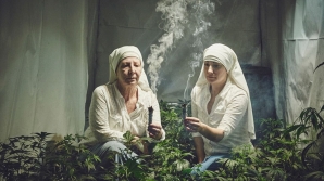 Inside the world of the 'weed nuns': Sisters who run a medicinal marijuana business 