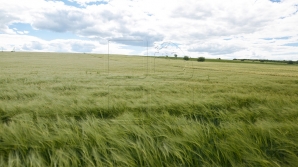 Land owners will be allowed to establish Bed and Breakfast lodgings on ONE CONDITION