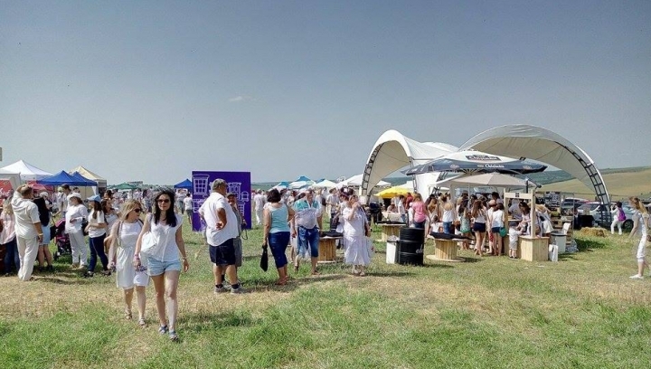 Mounted police show at Lavender Festival in Moldova (PHOTO)