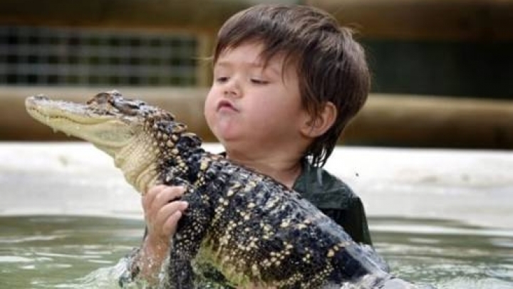 Alligator snatches toddler in front of parents in Florida