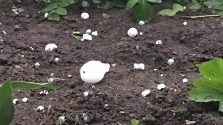 Hail causes havoc in Moldova's west