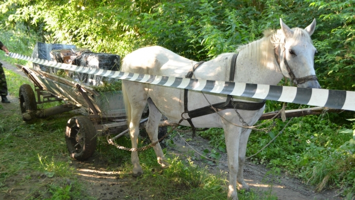 Two men tried to smuggle Moldovan cigarettes in Romania with a carriage