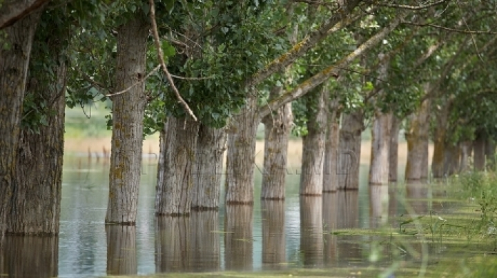 RISK OF FLOOD! Forecasters' warning regarding increase of water level in rivers and lakes