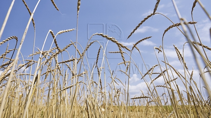 Weather forecast: overcast throughout country