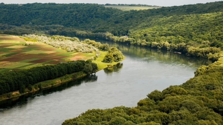 ALARMING! Moldova's main river has much less water than due