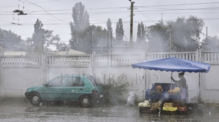 Falling tree KILLS woman in Chisinau, as rain makes havoc