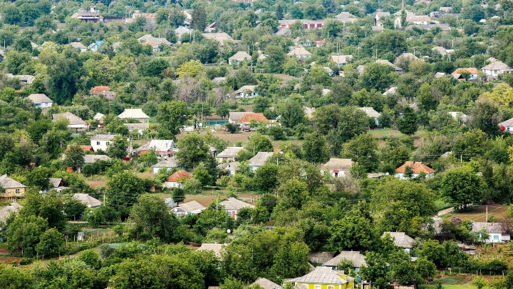 Cannabis and poppy breeders in Chisinau, left without their plants