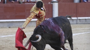 Top Spanish matador is gored to death by a bull, live on TV  