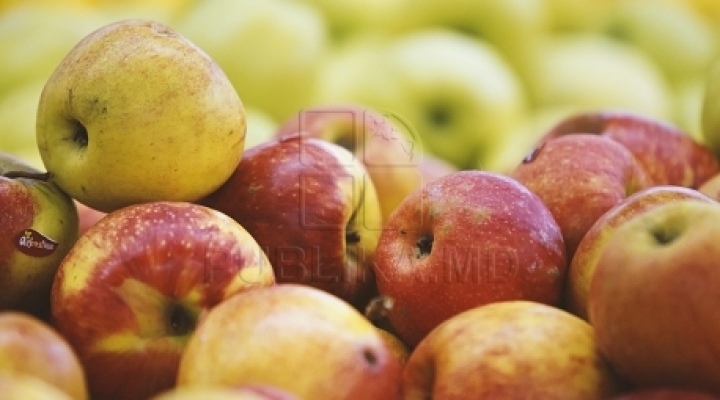 43 Moldovan companies ALLOWED to sell apples in Russia