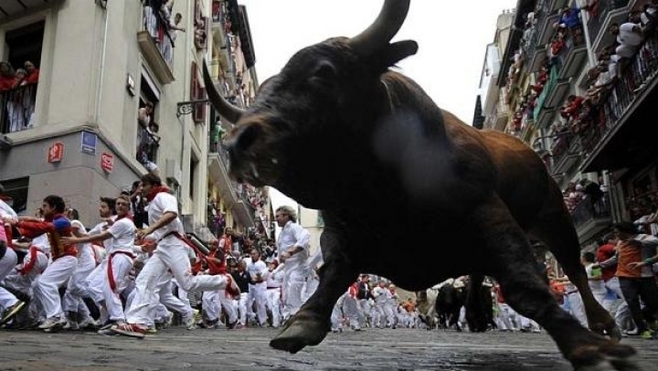 Man dies after being gored in Pamplona bull race. More injured