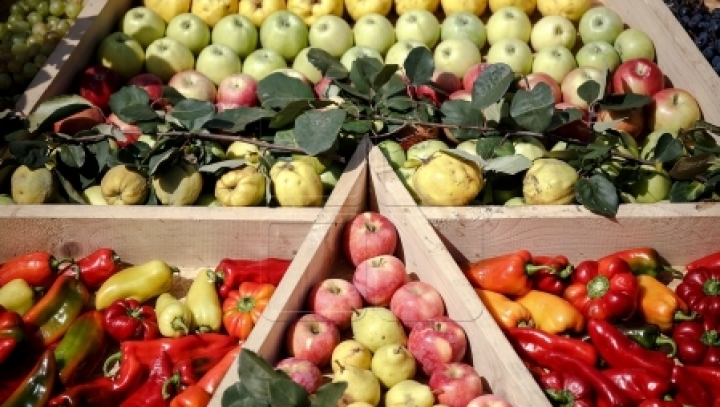 Moldovan fruit growers to get access to low-interest loans