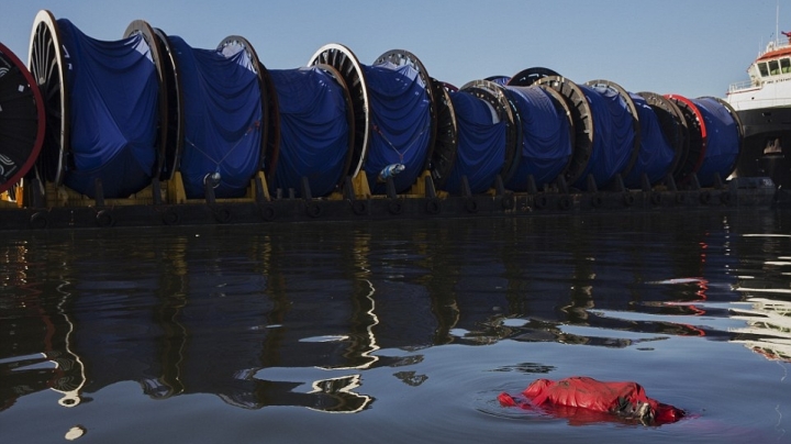 Rio 2016: Bloated CORPSE floats in bay where Olympics will compete   