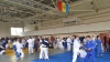 90 judo players to perform at 'Independence Cup' in Chisinau on August 28th