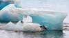 8,000 blue lakes appear in Antarctica, get scientists worried