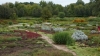 Drought dries plants at Botanical Garden 