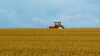 Moldovan farmers may submit applications to get subsidies till 31 October 2016