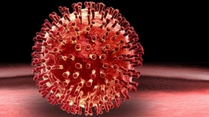 Viruses are more dangerous in first half of day