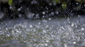 Weather Forecast for Following Days