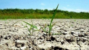 Yellow code of hydrological drought prolonged 