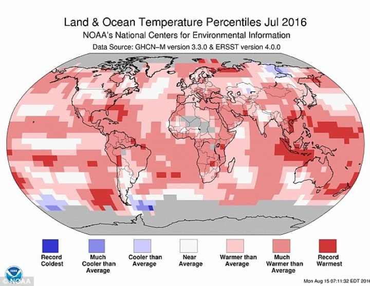 Scientists confirmed July as hottest ever month