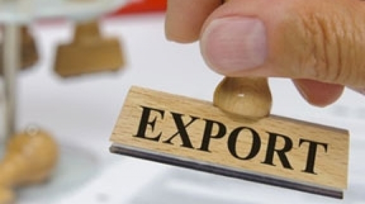 Moldovan exports falling and re-exports growing 