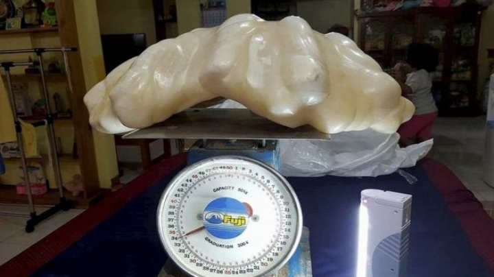 World's biggest 34 kg pearl found in Philippines 