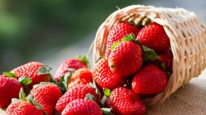 Moldovan strawberries and cereals on European Market 