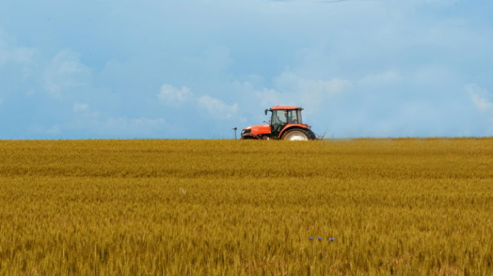 Moldovan farmers may submit applications to get subsidies till 31 October 2016