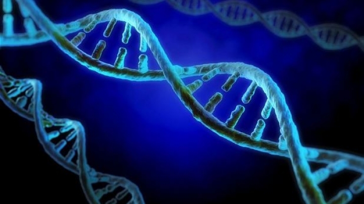 Huge database of DNA from over 60,000 people could help reveal causes of rare conditions