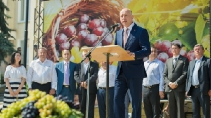 National Grape Festival. Pavel Filip: The sector is of key importance for economy (PHOTO)