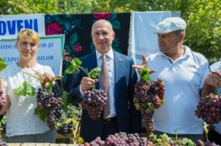 National Grape Festival. Pavel Filip: The sector is of key importance for economy (PHOTO)