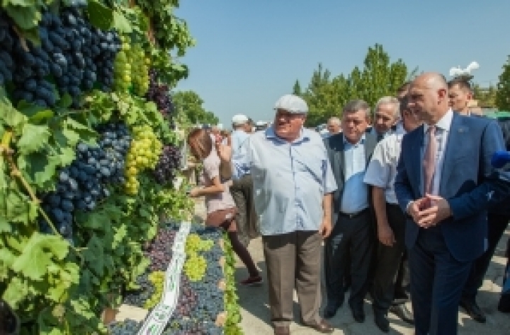 National Grape Festival. Pavel Filip: The sector is of key importance for economy (PHOTO)