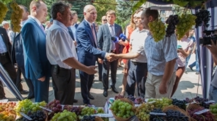 National Grape Festival. Pavel Filip: The sector is of key importance for economy (PHOTO)