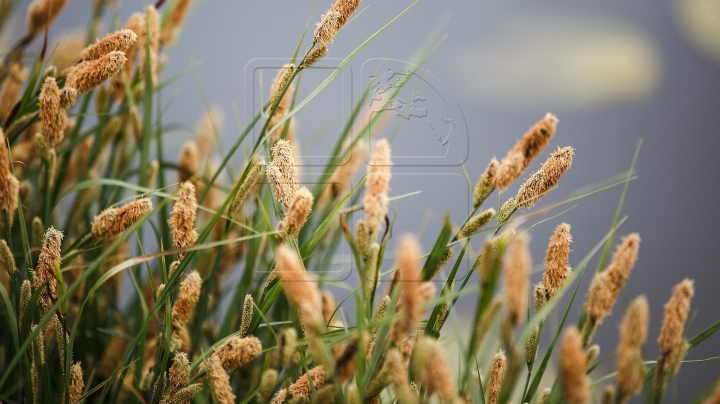 WEATHER FORECAST FOR FOLLOWING DAYS: Hot days followed by possible rains and chilly weather