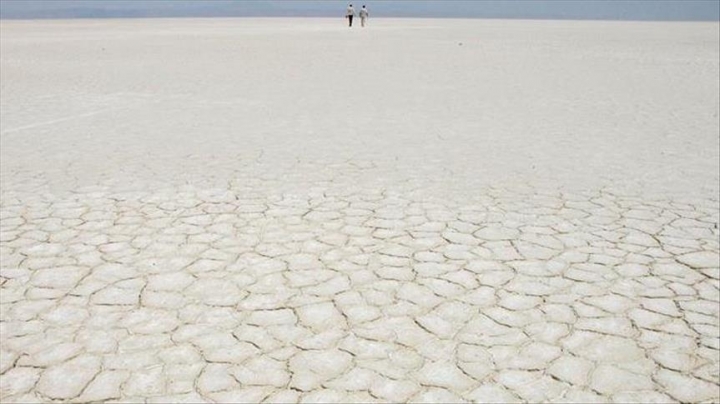 Global warming causes saltier beaches, study claims