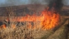 Vegetation fire in Telecentru sector. Fire spread over 10 hectares area