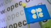 OPEC countries to lower output, shale firms cheer