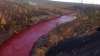 Apocalypse now! Siberian river turns red (PHOTO)