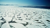 Study:Arctic sea ice shrinks to second lowest level ever recorded