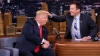 Talk show anchor tries if Trump's hair is real (VIDEO)