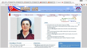 According to leaked data, North Korea only has 28 websites