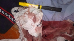 Glodeni village dangerous thieves