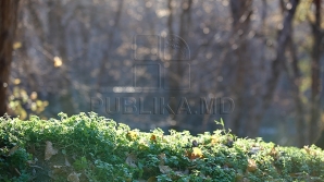 WEATHER FORECAST 30 SEPTEMBER 2016: Warm weather and weak winds