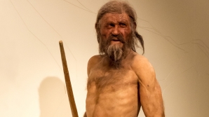 Scientists discover amazing secrets of Europe’s oldest mummy