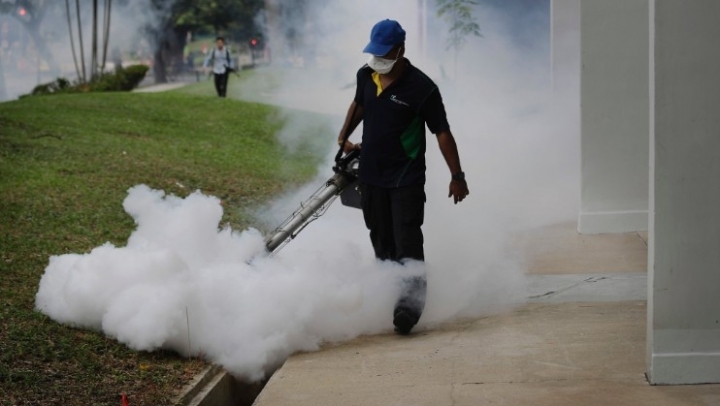 Singapore's Zika cases send warning signal to Asia