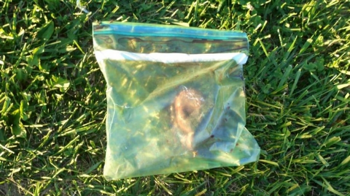 Macabre discovery in Ohio: medical technicians found a heart in a zip lock bag