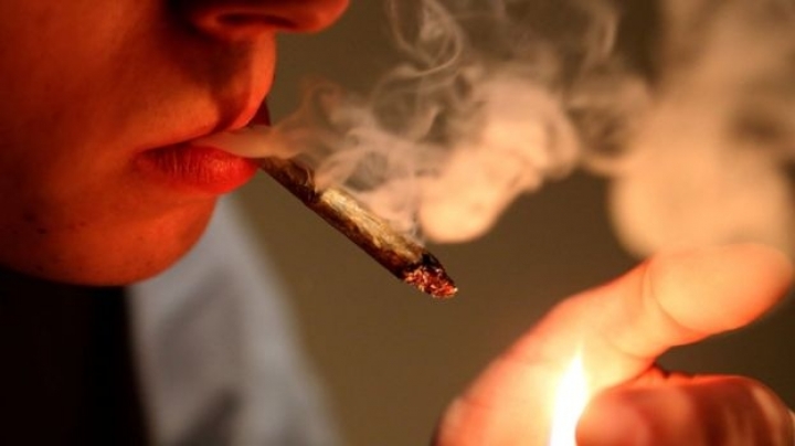 Survey: Number of teenagers using cannabis increases in Europe